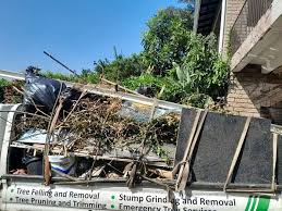Best Dumpster Rental Services  in Manasota Key, FL